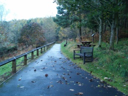 Image on trail